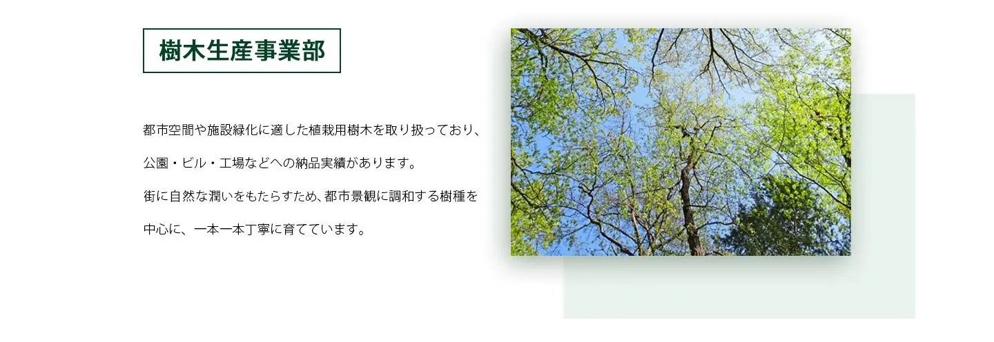 樹木生産事業部イメージ